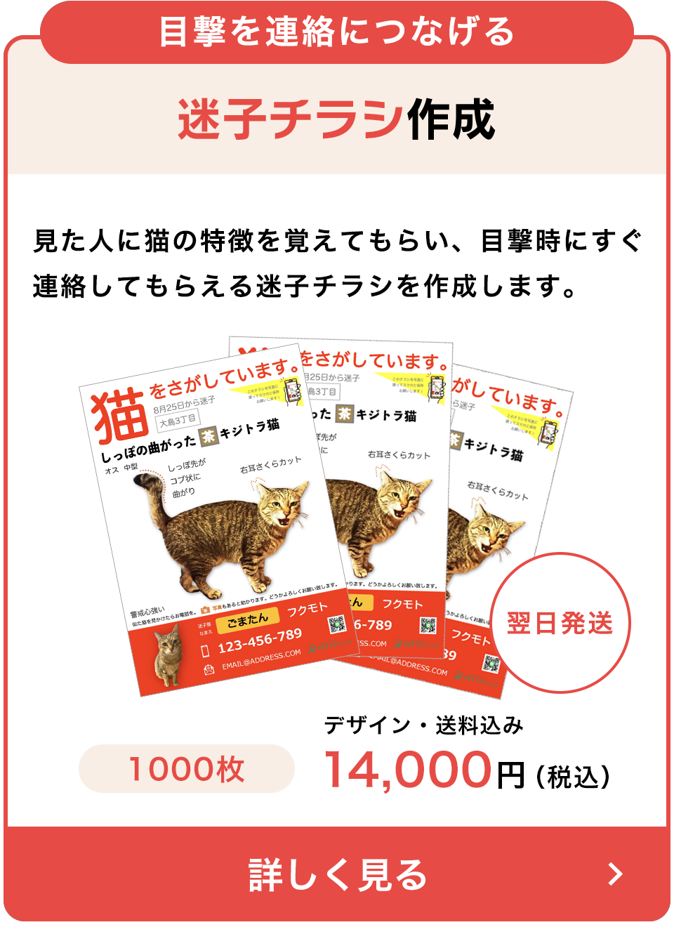 迷子チラシ作成