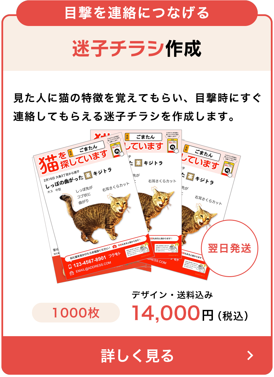 迷子チラシ作成