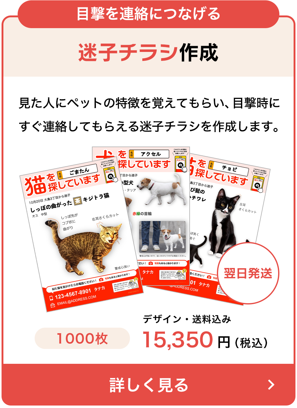 迷子チラシ作成